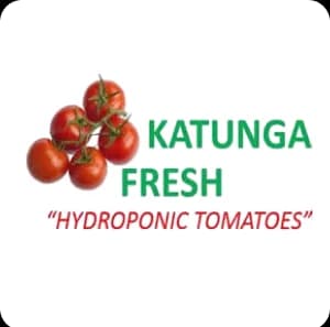 Katunga Fresh